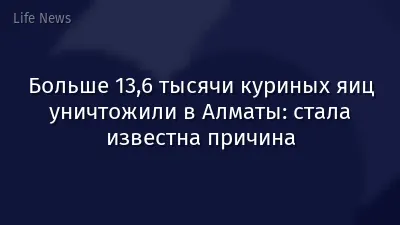 Больше 13,6 тысячи куриных яиц уничтожили в Алматы: стала известна причина