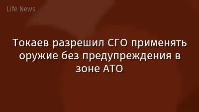 Токаев разрешил СГО применять оружие без предупреждения в зоне АТО