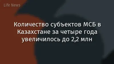 Количество субъектов МСБ в Казахстане за четыре года увеличилось до 2,2 млн