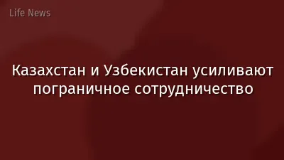 Казахстан и Узбекистан усиливают пограничное сотрудничество