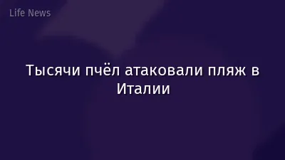 Тысячи пчёл атаковали пляж в Италии