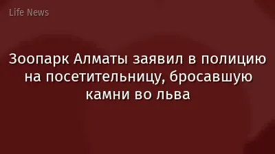 Зоопарк Алматы заявил в полицию на посетительницу, бросавшую камни во льва