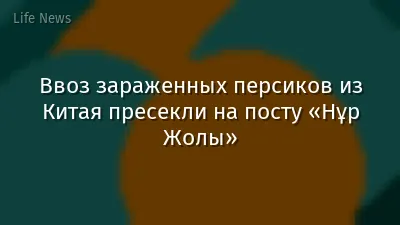 Ввоз зараженных персиков из Китая пресекли на посту «Нұр Жолы»