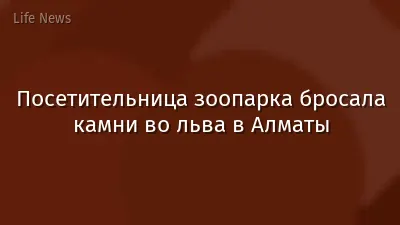 Посетительница зоопарка бросала камни во льва в Алматы