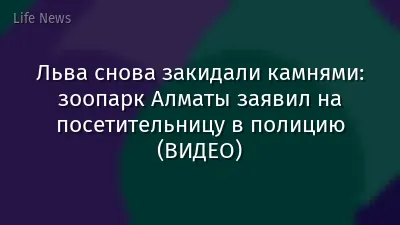 Льва снова закидали камнями: зоопарк Алматы заявил на посетительницу в полицию (ВИДЕО)