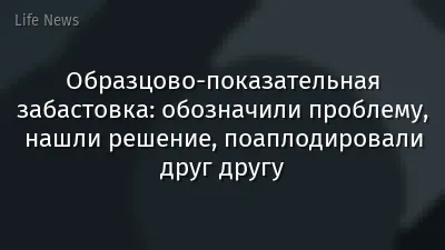 Образцово-показательная забастовка: обозначили проблему, нашли решение, поаплодировали друг другу