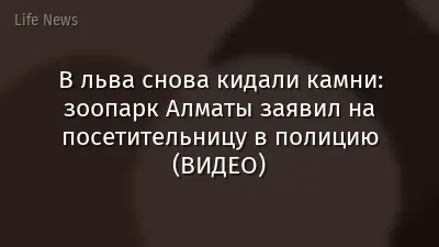 В льва снова кидали камни: зоопарк Алматы заявил на посетительницу в полицию (ВИДЕО)