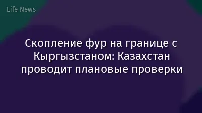 Скопление фур на границе с Кыргызстаном: Казахстан проводит плановые проверки