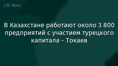 В Казахстане работают около 3 800 предприятий с участием турецкого капитала - Токаев