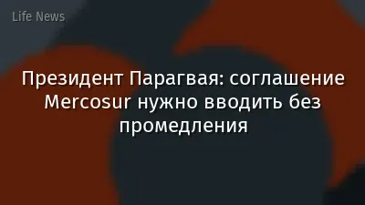 Президент Парагвая: соглашение Mercosur нужно вводить без промедления