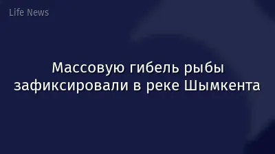 Массовую гибель рыбы зафиксировали в реке Шымкента