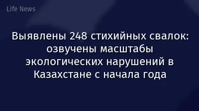 Выявлены 248 стихийных свалок: озвучены масштабы экологических нарушений в Казахстане с начала года
