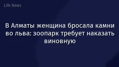 В Алматы женщина бросала камни во льва: зоопарк требует наказать виновную