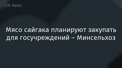 Мясо сайгака планируют закупать для госучреждений – Минсельхоз