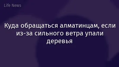 Куда обращаться алматинцам, если из-за сильного ветра упали деревья