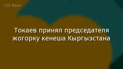 Токаев принял председателя жогорку кенеша Кыргызстана