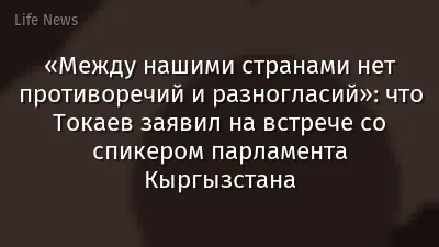 «Между нашими странами нет противоречий и разногласий»: что Токаев заявил на встрече со спикером парламента Кыргызстана