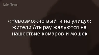 «Невозможно выйти на улицу»: жители Атырау жалуются на нашествие комаров и мошек