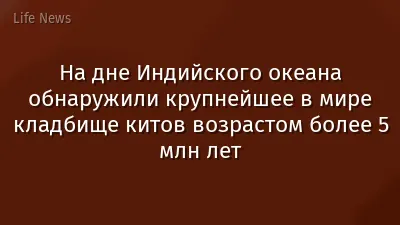 На дне Индийского океана обнаружили крупнейшее в мире кладбище китов возрастом более 5 млн лет