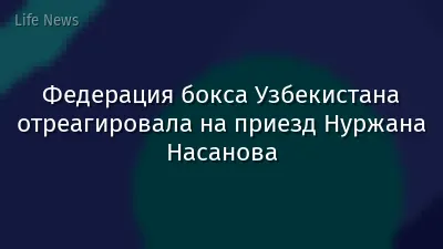 Федерация бокса Узбекистана отреагировала на приезд Нуржана Насанова