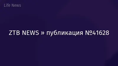 ZTB NEWS » публикация №41628