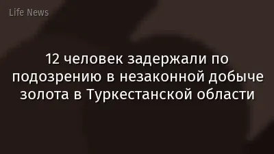 12 человек задержали по подозрению в незаконной добыче золота в Туркестанской области