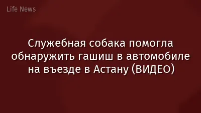 Служебная собака помогла обнаружить гашиш в автомобиле на въезде в Астану (ВИДЕО)