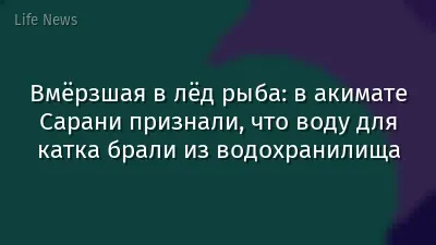 Вмёрзшая в лёд рыба: в акимате Сарани признали, что воду для катка брали из водохранилища