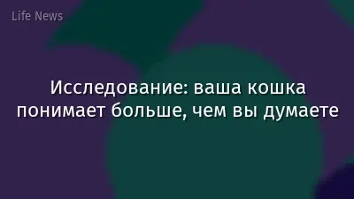 Исследование: ваша кошка понимает больше, чем вы думаете