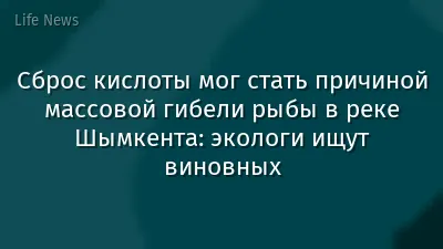 Сброс кислоты мог стать причиной массовой гибели рыбы в реке Шымкента: экологи ищут виновных