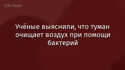 Учёные выяснили, что туман очищает воздух при помощи бактерий