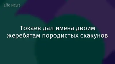 Токаев дал имена двоим жеребятам породистых скакунов
