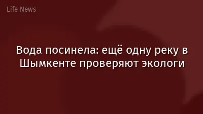 Вода посинела: ещё одну реку в Шымкенте проверяют экологи