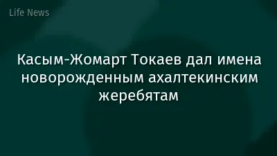 Касым-Жомарт Токаев дал имена новорожденным ахалтекинским жеребятам