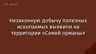 Незаконную добычу полезных ископаемых выявили на территории «Семей орманы»