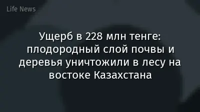 Ущерб в 228 млн тенге: плодородный слой почвы и деревья уничтожили в лесу на востоке Казахстана