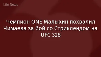 Чемпион ONE Малыхин похвалил Чимаева за бой со Стриклендом на UFC 328