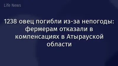 1238 овец погибли из-за непогоды: фермерам отказали в компенсациях в Атырауской области