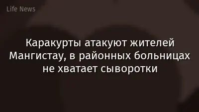 Каракурты атакуют жителей Мангистау, в районных больницах не хватает сыворотки