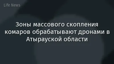 Зоны массового скопления комаров обрабатывают дронами в Атырауской области