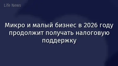 Микро и малый бизнес в 2026 году продолжит получать налоговую поддержку
