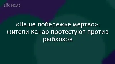 «Наше побережье мертво»: жители Канар протестуют против рыбхозов