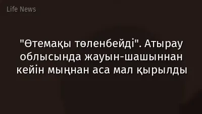 "Өтемақы төленбейді". Атырау облысында жауын-шашыннан кейін мыңнан аса мал қырылды