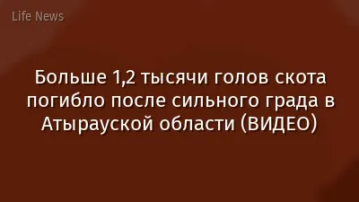 Больше 1,2 тысячи голов скота погибло после сильного града в Атырауской области (ВИДЕО)