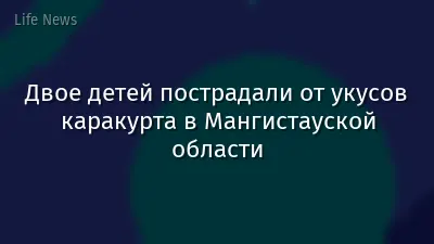 Двое детей пострадали от укусов каракурта в Мангистауской области