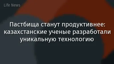 Пастбища станут продуктивнее: казахстанские ученые разработали уникальную технологию