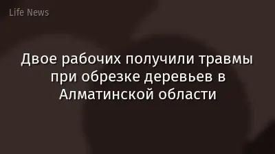 Двое рабочих получили травмы при обрезке деревьев в Алматинской области