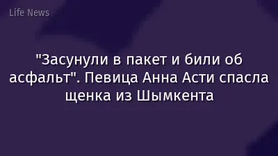 "Засунули в пакет и били об асфальт". Певица Анна Асти спасла щенка из Шымкента