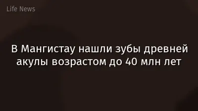 В Мангистау нашли зубы древней акулы возрастом до 40 млн лет