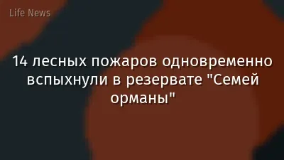 14 лесных пожаров одновременно вспыхнули в резервате "Семей орманы"